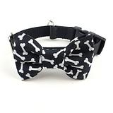 black bow tie with white bones attached to a dog collar