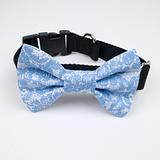 front view of a dog bow tie on a collar