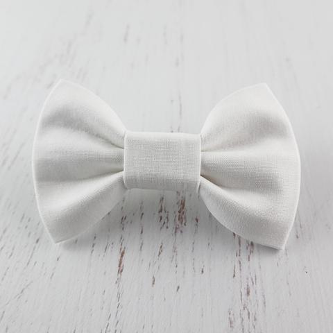 photo white dog bow tie on a whitewash background