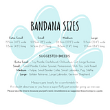 graphic with a blue paw print and description of bandana sizes