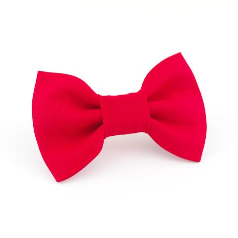 Red Dog Bow Tie Front View